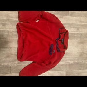 Patagonia Synchilla Mens Large